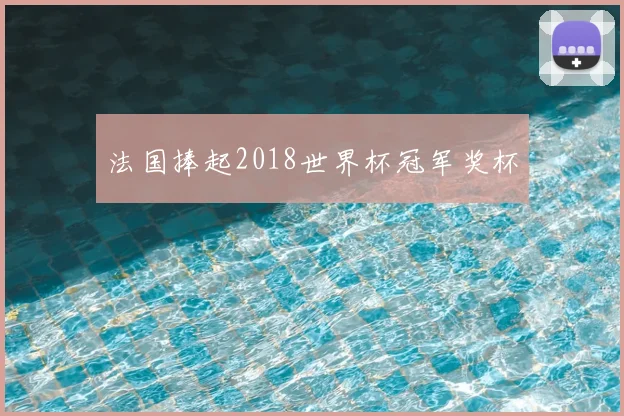 法国捧起2018世界杯冠军奖杯