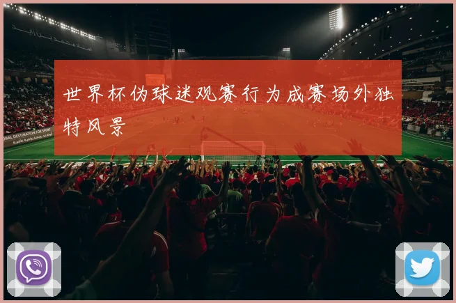 世界杯伪球迷观赛行为成赛场外独特风景