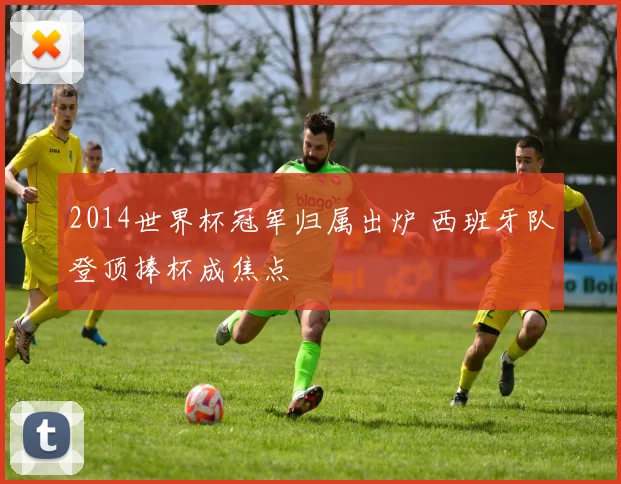 2014世界杯冠军归属出炉 西班牙队登顶捧杯成焦点