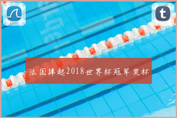 法国捧起2018世界杯冠军奖杯